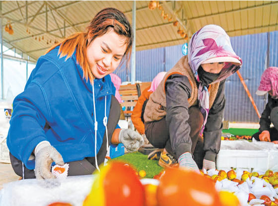 月牙湖蟠棗“擠”進(jìn)胖東來